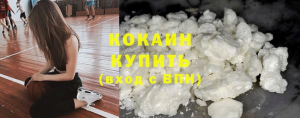 прущие крисы Абаза
