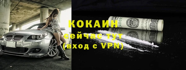 прущие крисы Абаза