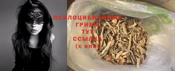 ПСИЛОЦИБИНОВЫЕ ГРИБЫ Абдулино