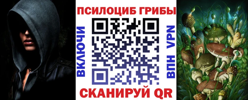 Псилоцибиновые грибы GOLDEN TEACHER  наркотики  Нерехта 